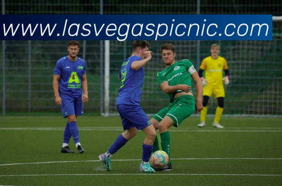 App Interface Preview