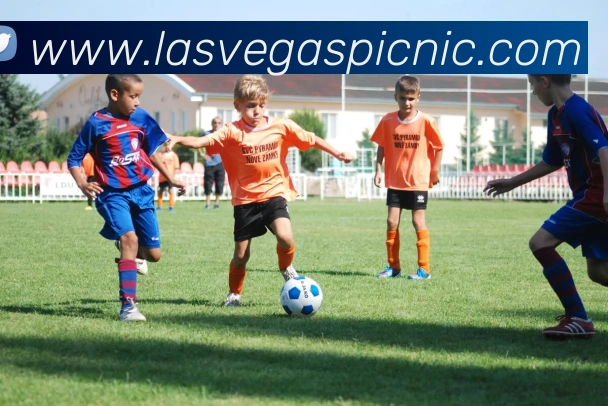 mksports什么网站APP 封面图